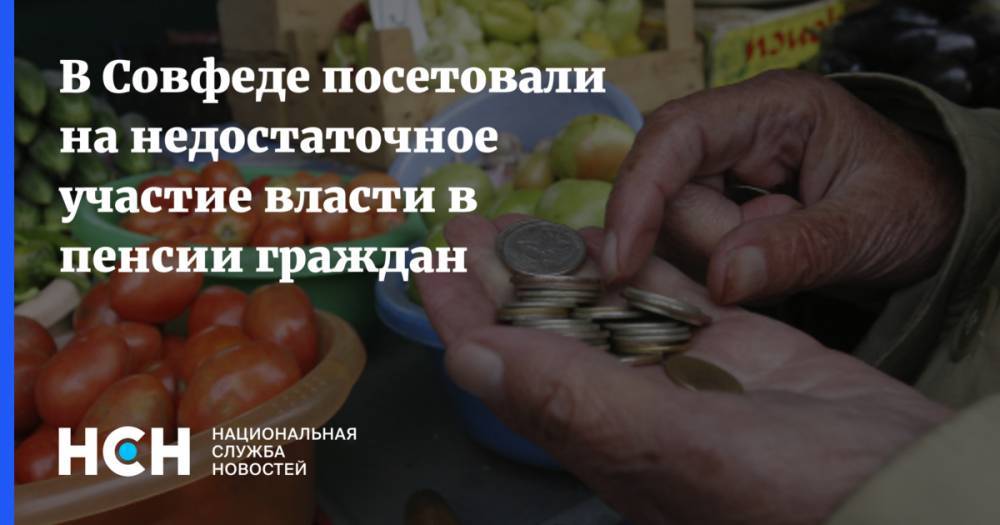 Валерий Рязанский - В Совфеде посетовали на недостаточное участие власти в пенсии граждан - nsn.fm - Россия