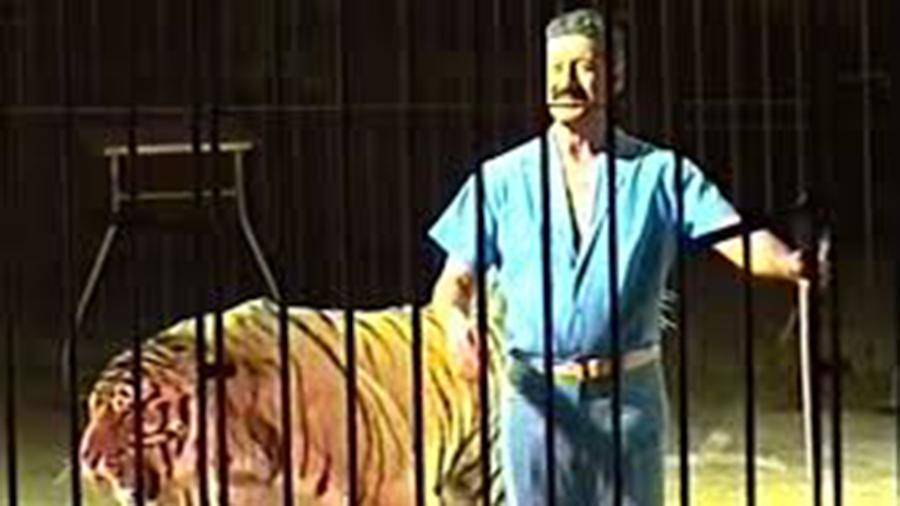 Тигры загрызли известного итальянского дрессировщика во время репетиции - iz.ru - Италия - Тувы
