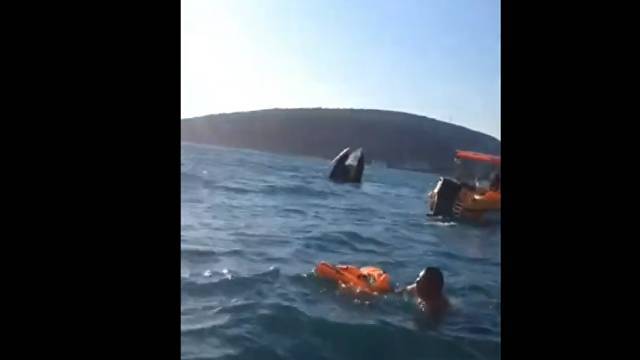 Спасение пассажиров катера после ЧП в Черном море попало на видео - crimea.ria.ru - Крым - Симферополь