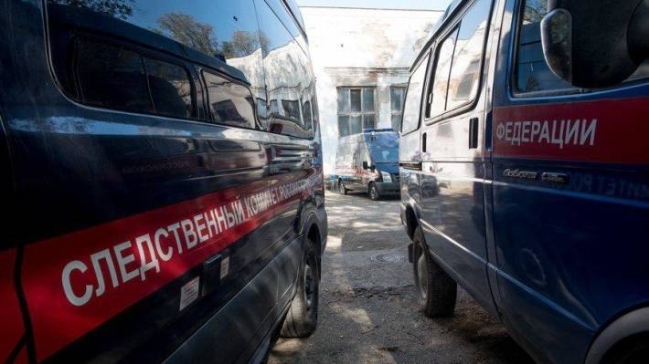Тетя жестоко избитой девочки задержана в Ингушетии - polit.info - респ. Ингушетия - Сунжа