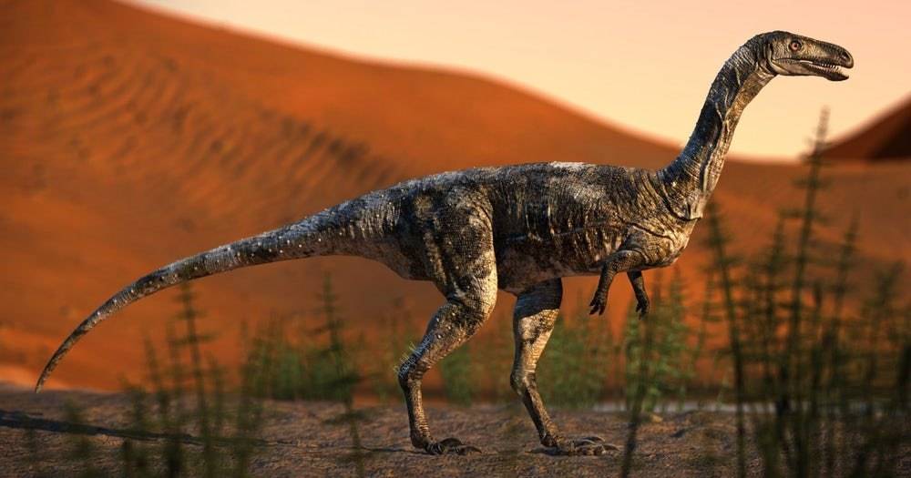 Описан ранее неизвестный небольшой хищный динозавр - popmech.ru - Brazil