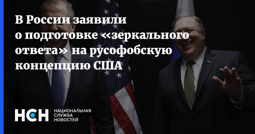 Андрей Кошкин - В России заявили о подготовке «зеркального ответа» на русофобскую концепцию США - nsn.fm - Россия - США