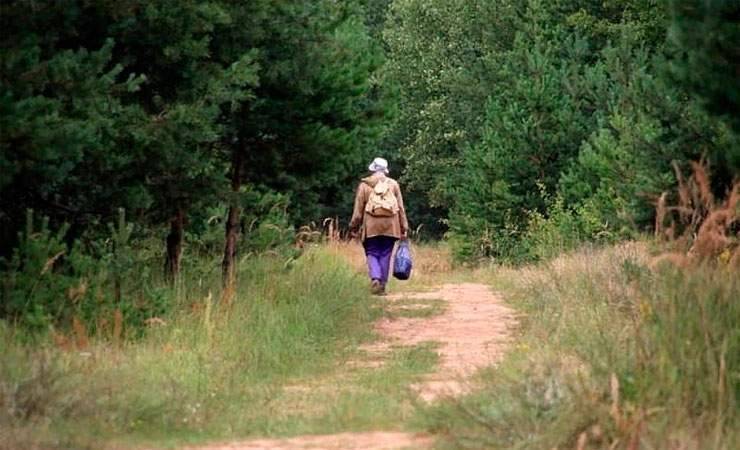 В Калинковичском районе нашли пенсионерку, которая более суток провела в лесу - gomel.today - Калинковичи