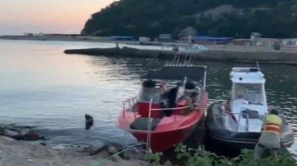Валерий Козлов - У капитана перевернувшегося в Чёрном море судна не было лицензии на перевозку людей - govoritmoskva.ru - Краснодарский край