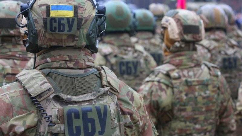 Владимир Цемах - Владислав Шурыгин - Эксперт объяснил, зачем СБУ похитила непричастного к крушению MH17 жителя ДНР - riafan.ru - Россия - Украина - Киев - обл. Донецкая - ДНР - Славянск