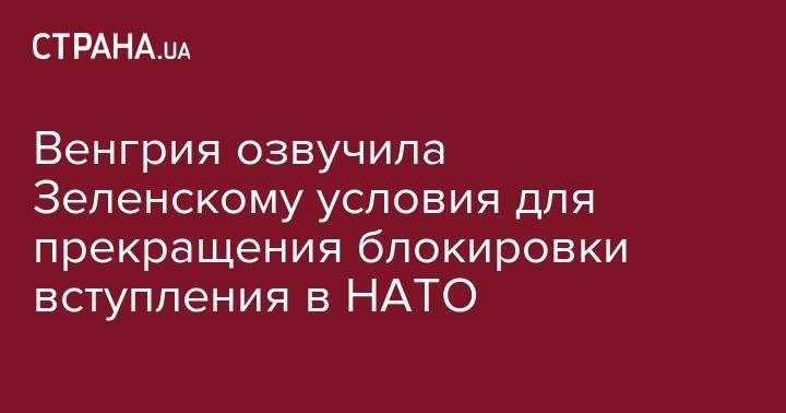 Владимир Зеленский - Петр Порошенко - Петер Сийярто - Венгрия озвучила Зеленскому условия для прекращения блокировки вступления в НАТО - strana.ua - Украина - Венгрия