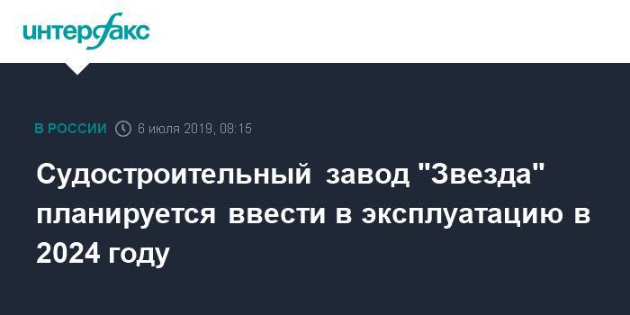 Юрий Борисов - Судостроительный завод "Звезда" планируется ввести в эксплуатацию в 2024 году - interfax.ru - Москва - Россия