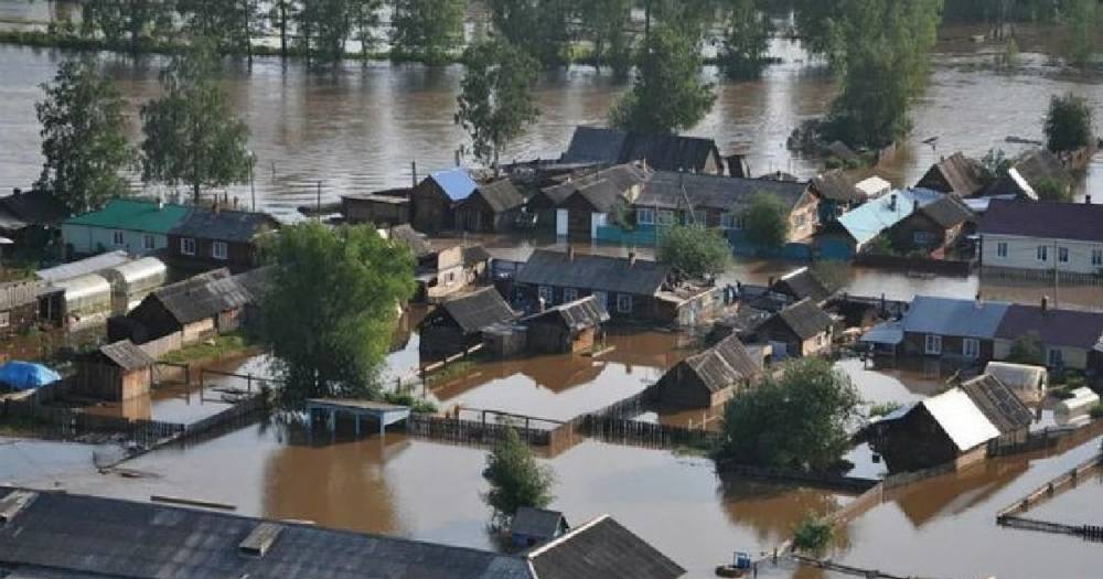 На Куршской косе нашли тело пропавшей 12-летней девочки. - daylynews.ru - Россия - Калининградская обл. - Зеленоградск