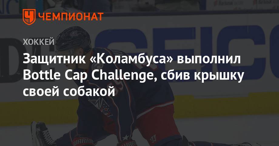 Даниса Зарипова - Защитник «Коламбуса» выполнил Bottle Cap Challenge, сбив крышку своей собакой - championat.com - Россия - Финляндия