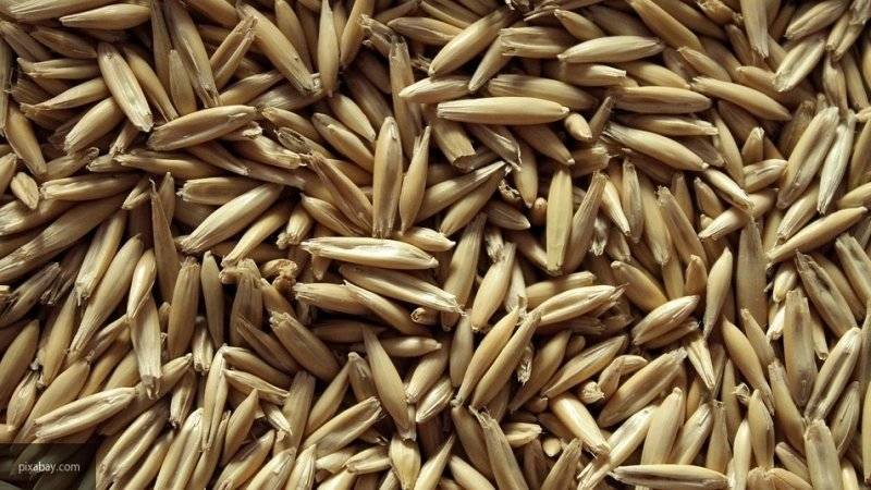 Мария Федорова - Диетологи назвали продукты с наибольшим содержанием клетчатки - nation-news.ru - Пермь