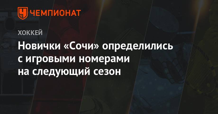 Алексей Петров - Новички «Сочи» определились с игровыми номерами на следующий сезон - championat.com - Сочи - Канада