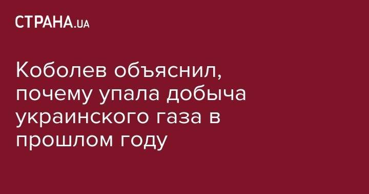 Андрей Коболев - Коболев объяснил, почему упала добыча украинского газа в прошлом году - strana.ua - Украина