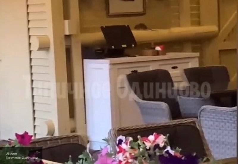 Алик Ливадный - Крыса стала героем видео из ресторана в Подмосковье - nation-news.ru - Токио - Московская обл.
