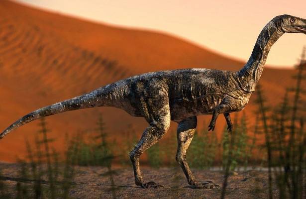 Описан ранее неизвестный небольшой хищный динозавр - newtvnews.ru - Brazil