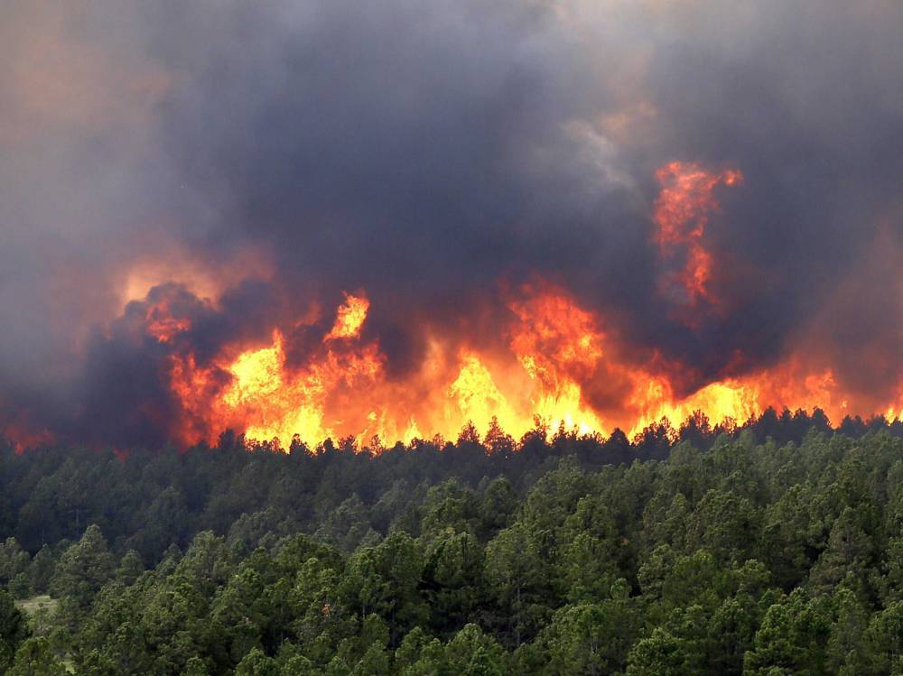 В Иркутской области обнаружили 37 новых лесных пожаров - theins.ru - Иркутская обл. - район Казачинско-Ленский - Братск - Илимск