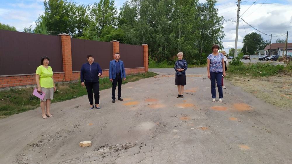 Жители поселка Александро-Невский пожаловались Елене Митиной на плохое состояние дороги | РИА «7 новостей» - 7info.ru