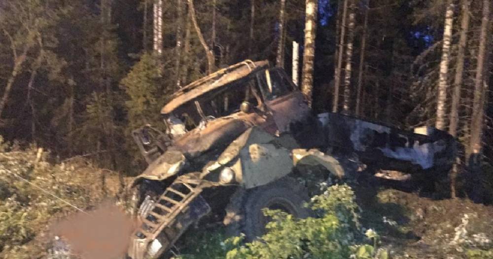 Браконьеры глушили рыбу и убили трёх дайверов в Малайзии. - daylynews.ru - Малайзия