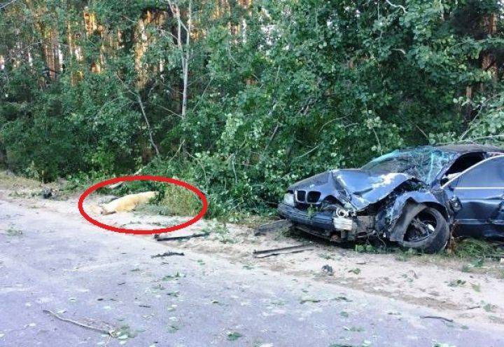 В Воронеже «БМВ» снёс столб и насмерть сбил пешехода - Новости Воронежа - moe-online.ru - Воронеж