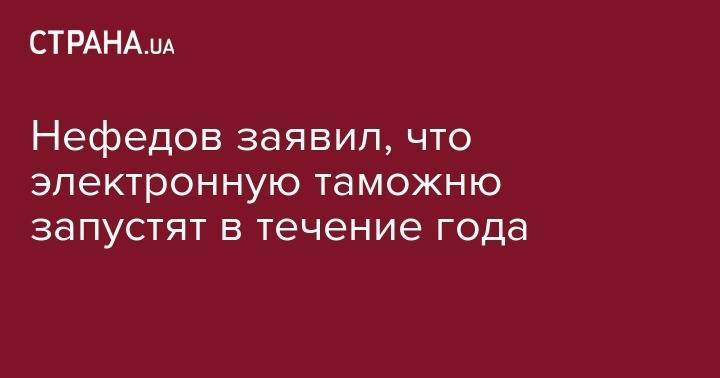 Нефедов заявил, что электронную таможню запустят в течение года - strana.ua - Украина