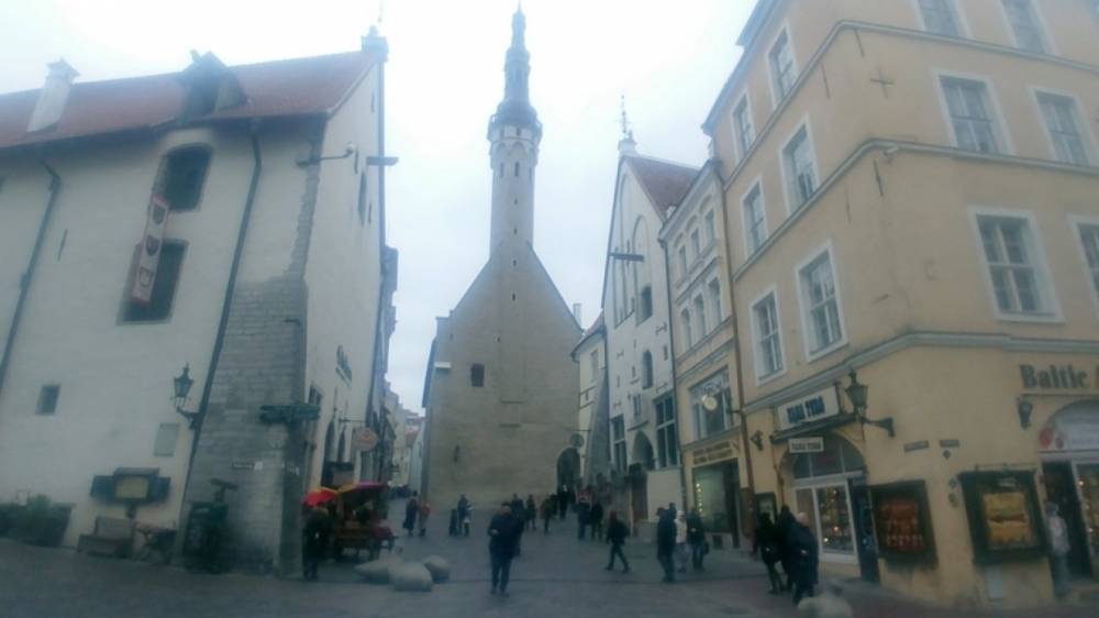 Адольф Гитлер - В Эстонии захотели восстановить памятник легионерам «Ваффен-СС» - riafan.ru - Германия - Эстония