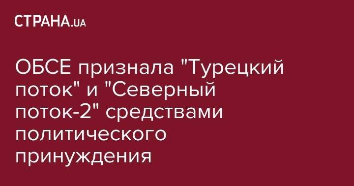 Виктор Медведчук - Мартин Сайдик - ОБСЕ признала "Турецкий поток" и "Северный поток-2" средствами политического принуждения - strana.ua - Россия - США - Украина - Крым - Литва
