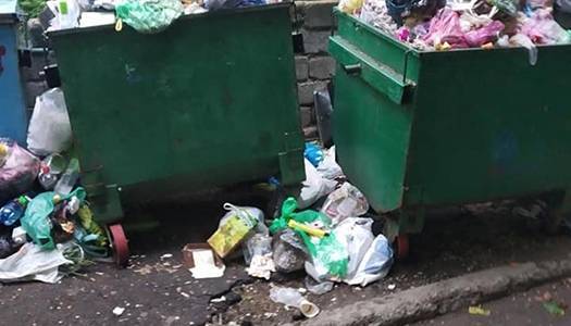 Власти Львова вернули полномочия по вывозу мусора - newformat.info - Львов