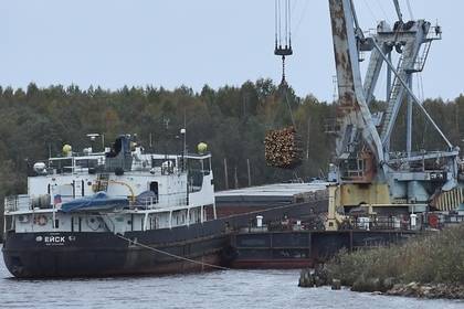 Высоковольтный провод убил всю рыбу в российской реке - lenta.ru - Тюмень