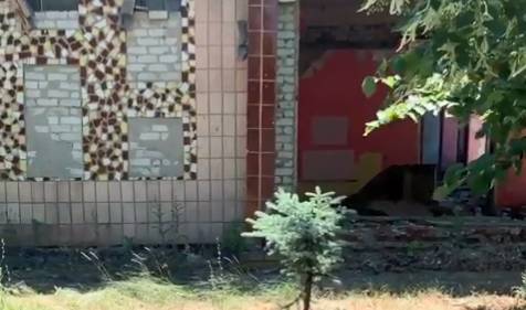 Лолита Милявская - Певица Лолита выложила видео из Дебальцево после обстрела. РЕН ТВ - ren.tv - Луганск - Первомайск