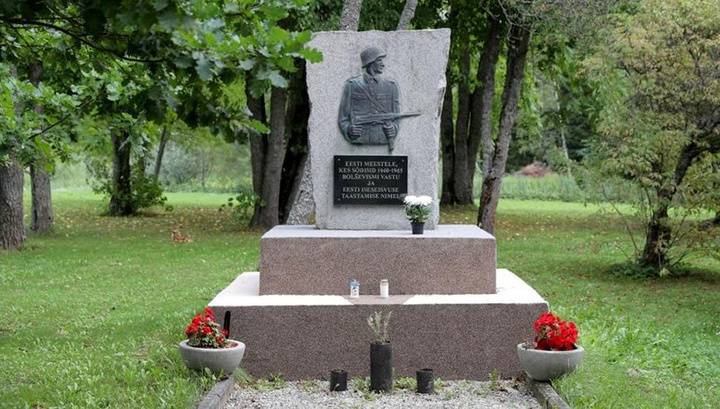 Франц Клинцевич - Нил Ушаков - Активисты Эстонии намерены восстановить памятник боевику СС | Новороссия - novorosinform.org - Россия - Эстония - Литва - Рига - Латвия