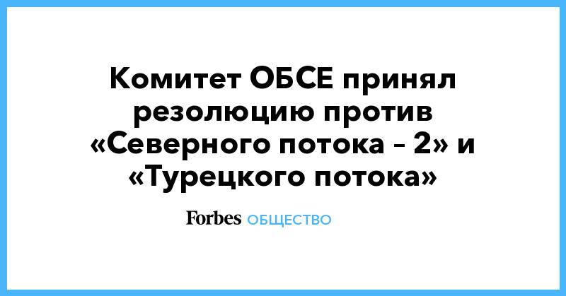 Комитет ОБСЕ принял резолюцию против «Северного потока – 2» и «Турецкого потока» - forbes.ru - Литва - Финляндия