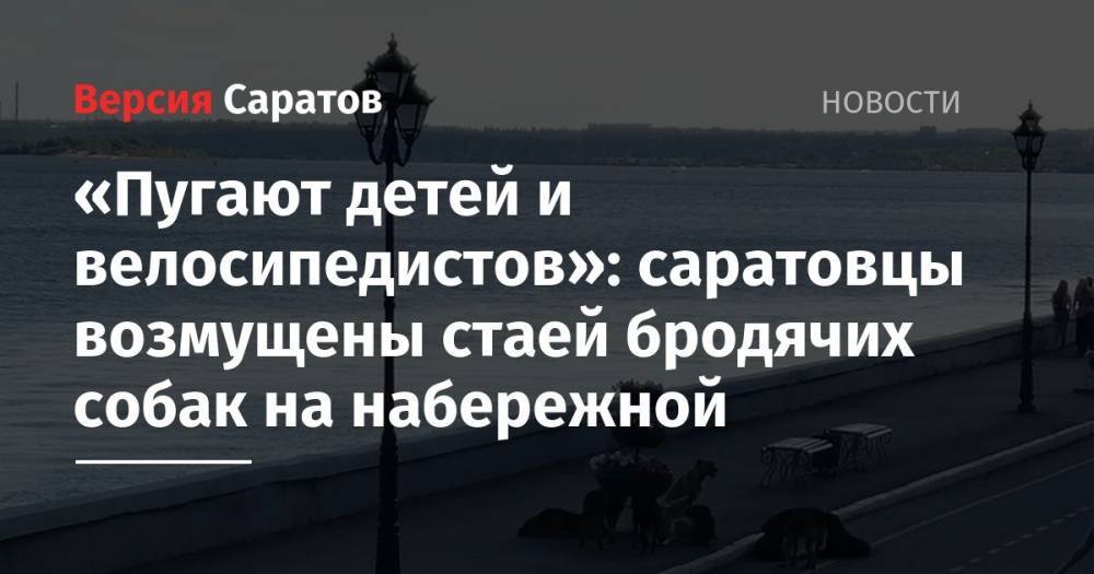 Сергей Сергеев - «Пугают детей и велосипедистов»: саратовцы возмущены стаей бродячих собак на набережной - nversia.ru - Саратова