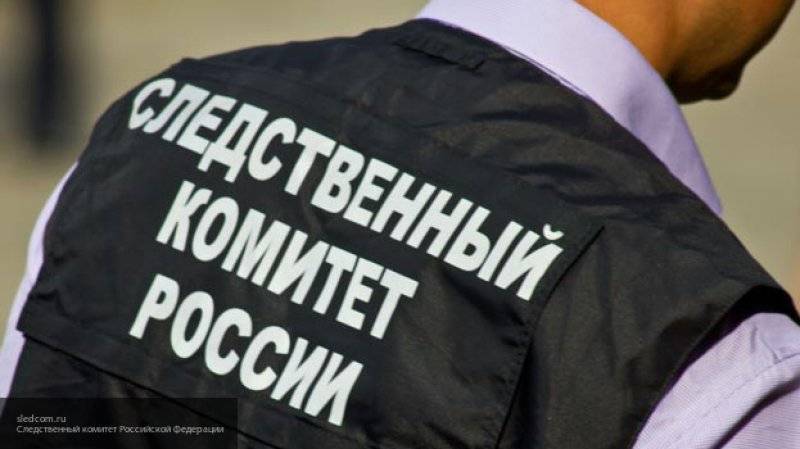 Дарья Балясникова - СК начал проверку по инциденту с ребенком, который случайно поджег свою одежду в Москве - nation-news.ru - Москва - Россия - район Перово