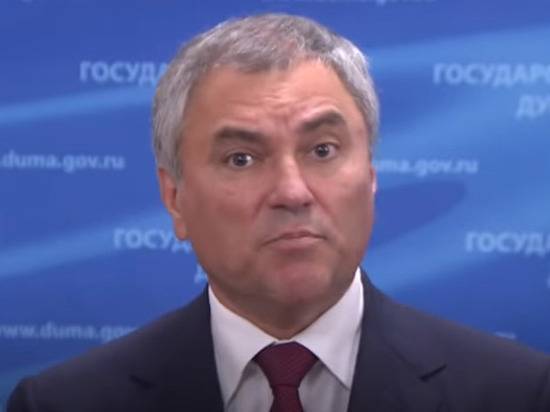 Владимир Путин - Вячеслав Володин - Госдума призвала вывезти оскорбившего Путина грузина в Россию - vestirossii.com - Россия - Грузия