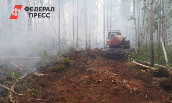 Дмитрий Артюхов - Артюхов объявил на Ямале особый противопожарный режим | Ямало-Ненецкий автономный округ | ФедералПресс - fedpress.ru - Россия - Югра - Салехард - окр. Янао