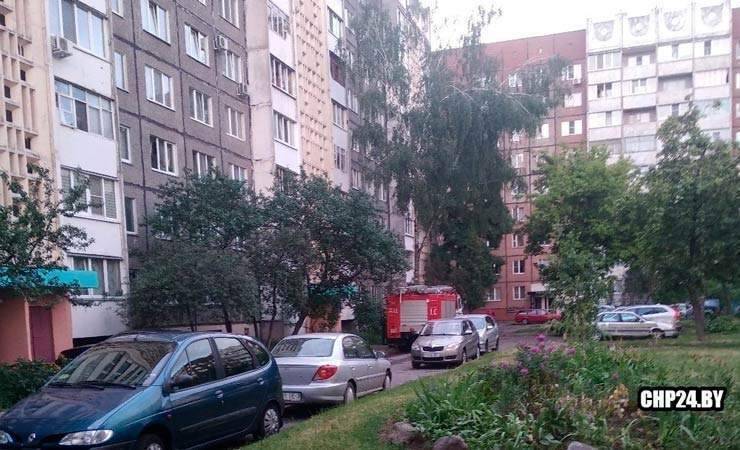 В Гомеле в одной из квартир произошла утечка газа. Погибли две кошки - gomel.today - Гомель