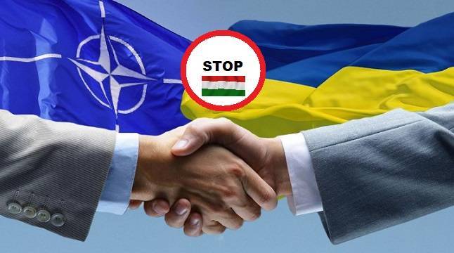 Владимир Зеленский - Петр Порошенко - Петер Сийярто - Венгрия снова предложила Украине путь в НАТО в обмен на родной язык для нацменьшинств - politnavigator.net - Украина - Киев - Венгрия