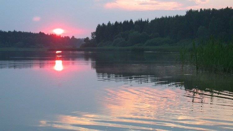 Теплоход с 292 пассажирами сел на мель в Рыбинском водохранилище - polit.info - Россия - Ярославская обл. - Рыбинск