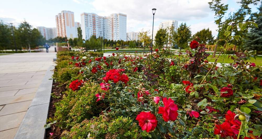 Мира Городов - Москва стала первой по площади парков - m24.ru - Москва - Россия - Токио - Московская обл. - Гонконг - Лондон - Берлин - Нью-Йорк - Нью-Йорк - Сеул - Шанхай - Сингапур - Сан-Паулу