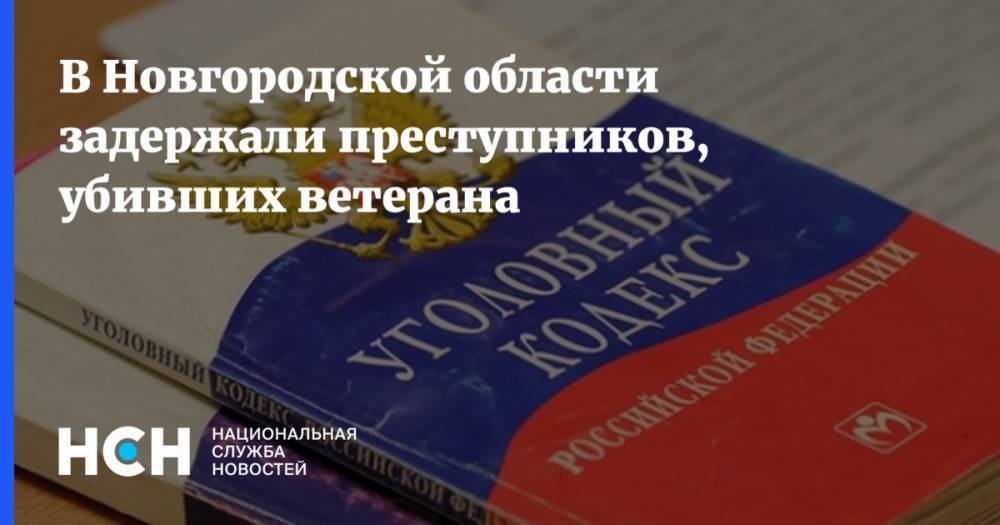 В Новгородской области задержали преступников, убивших ветерана - nsn.fm - Россия - Омская обл. - Новгородская обл.