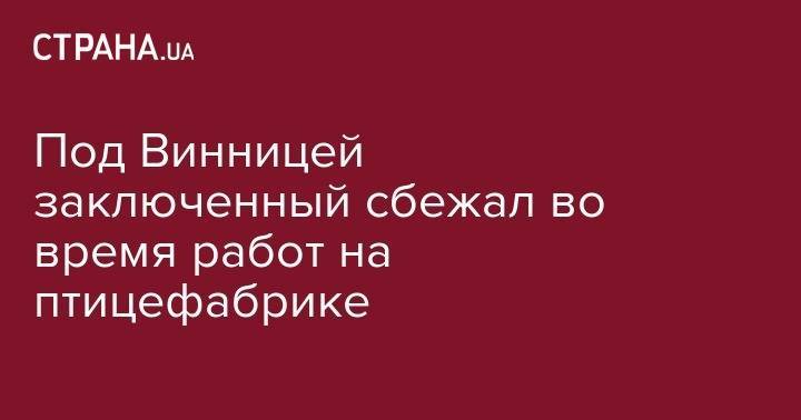 Под Винницей заключенный сбежал во время работ на птицефабрике - strana.ua - Украина - Киев - Киевская обл. - Винницкая обл.