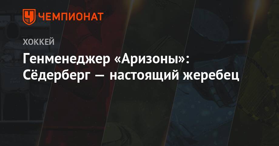 Генменеджер «Аризоны»: Сёдерберг — настоящий жеребец - championat.com - шт. Колорадо - Канада - шт. Аризона