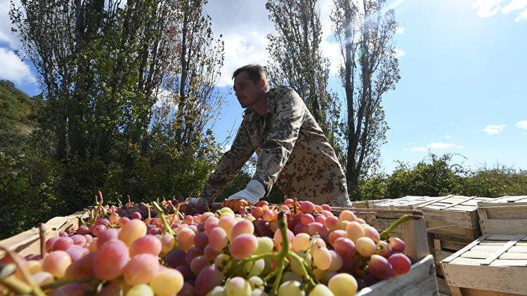 Андрей Рюмшин - Крым экспортировал сельхозтовары на 7 млн долларов - crimea.ria.ru - США - Крым - Симферополь