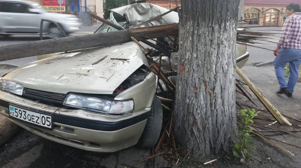 Пассажирка вылетела из окна: автомобиль врезался в дерево в Алматы (фото) - nur.kz - Казахстан - Алма-Ата