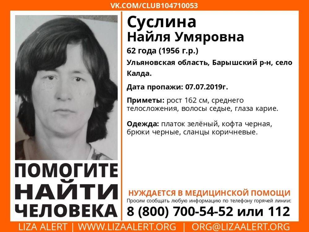 В Барышском районе женщина ушла за вениками и пропала - ulpravda.ru - Ульяновск - Ульяновская - Сызрань