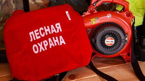 В Иркутской области горит более 88 тысяч гектаров леса — Информационное Агентство "365 дней" - 365news.biz - Иркутская обл. - Иркутск