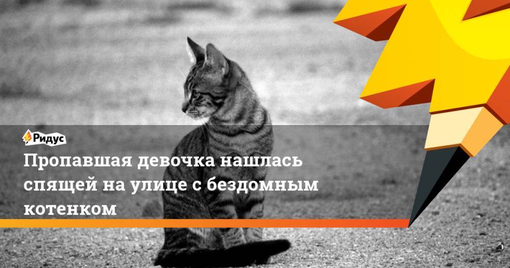 Пропавшая девочка нашлась спящей на улице с бездомным котенком. Ридус - ridus.ru - Приморье край - Владивосток