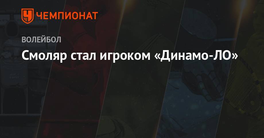 Смоляр стал игроком «Динамо-ЛО» - championat.com - Россия - Ленинградская обл. - Югра