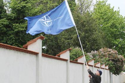 Владимир Зеленский - Петр Порошенко - Большинство украинцев поддержали вступление в НАТО - lenta.ru - Россия - Украина