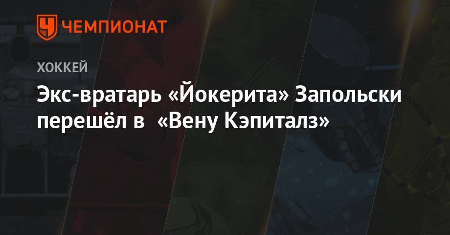 Экс-вратарь «Йокерита» Запольски перешёл в «Вену Кэпиталз» - championat.com - Финляндия - шт.Флорида - Сан-Хосе