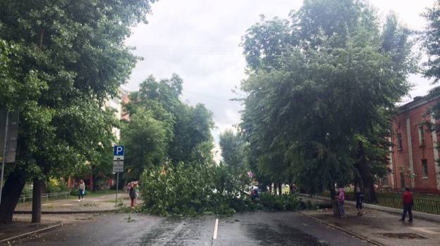 Рухнувшее во время урагана дерево перекрыло дорогу в центре Воронежа – Новости Воронежа и Воронежской области – Вести Воронеж - vestivrn.ru - Воронеж